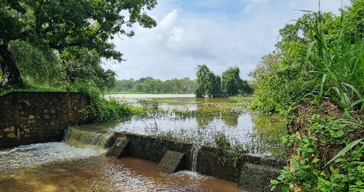 Lake near Pidurangala