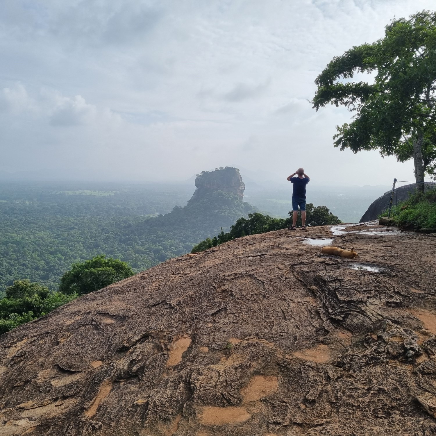 pidurangala1 View from Pidurangala to Sigiriya